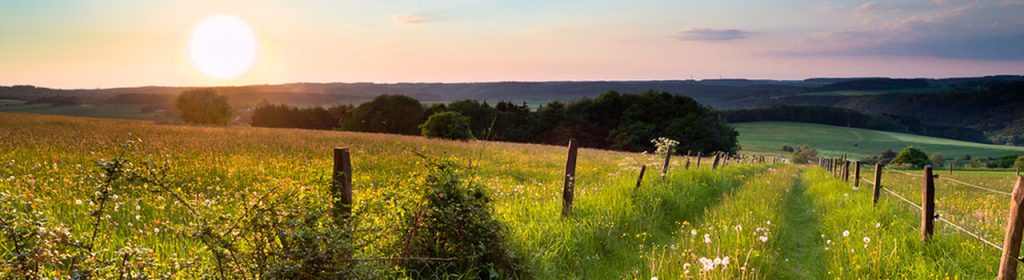 Sonnenuntergang über Wiese mit Zaun und Weg.